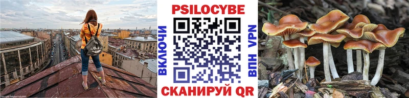гидра рабочий сайт  Егорьевск  Галлюциногенные грибы Cubensis 