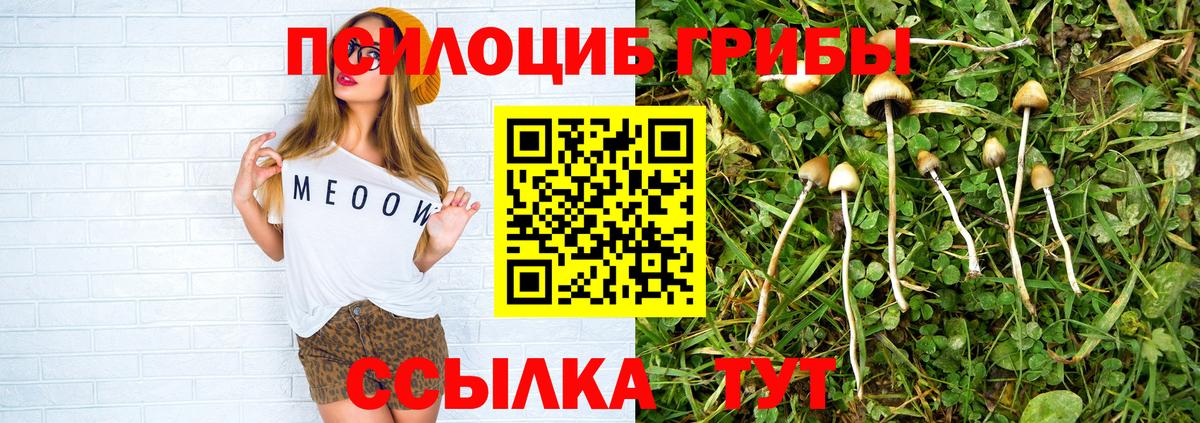 Егорьевск  Галлюциногенные грибы мицелий  Вход с VPN  Псилоцибиновые грибы мицелий 