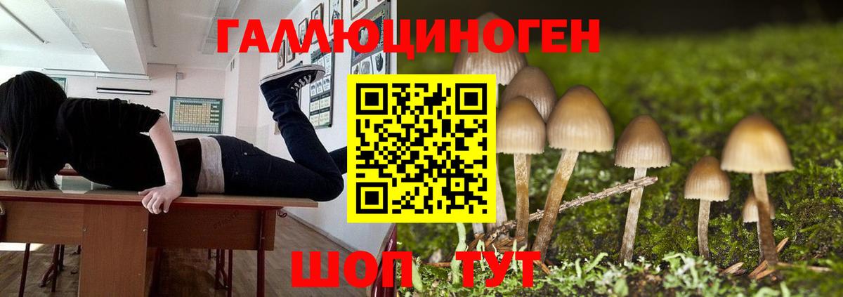 Псилоцибиновые грибы мицелий Егорьевск